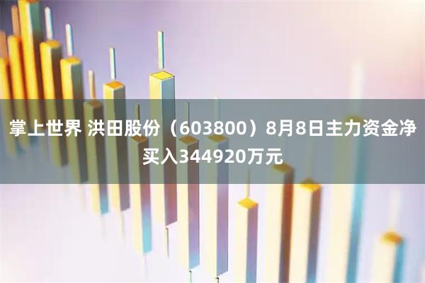 掌上世界 洪田股份（603800）8月8日主力资金净买入344920万元