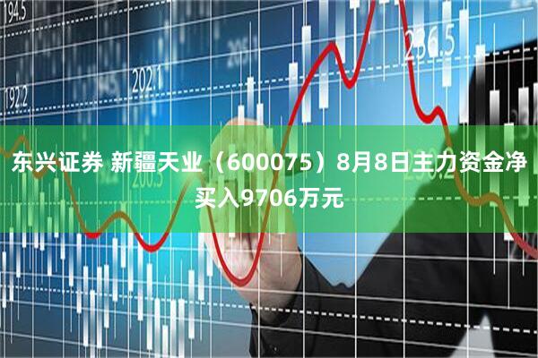 东兴证券 新疆天业（600075）8月8日主力资金净买入9706万元