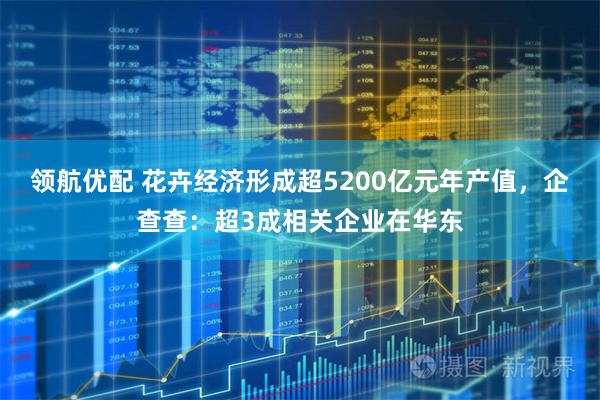 领航优配 花卉经济形成超5200亿元年产值，企查查：超3成相关企业在华东